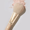 Powder Brush F01