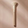 Blush & Highlighter Brush F02