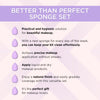 Better Than Perfect Sponge Set